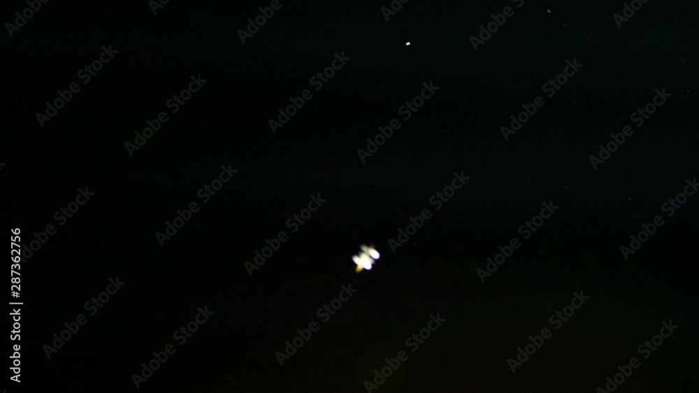 flying night moths, movement abstraction flying night moths, movement abstraction