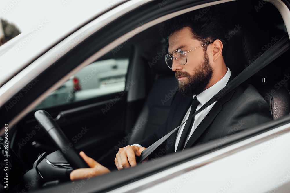 Handsome young serious bearded driver in full suit with fastening seat belt driving a car.