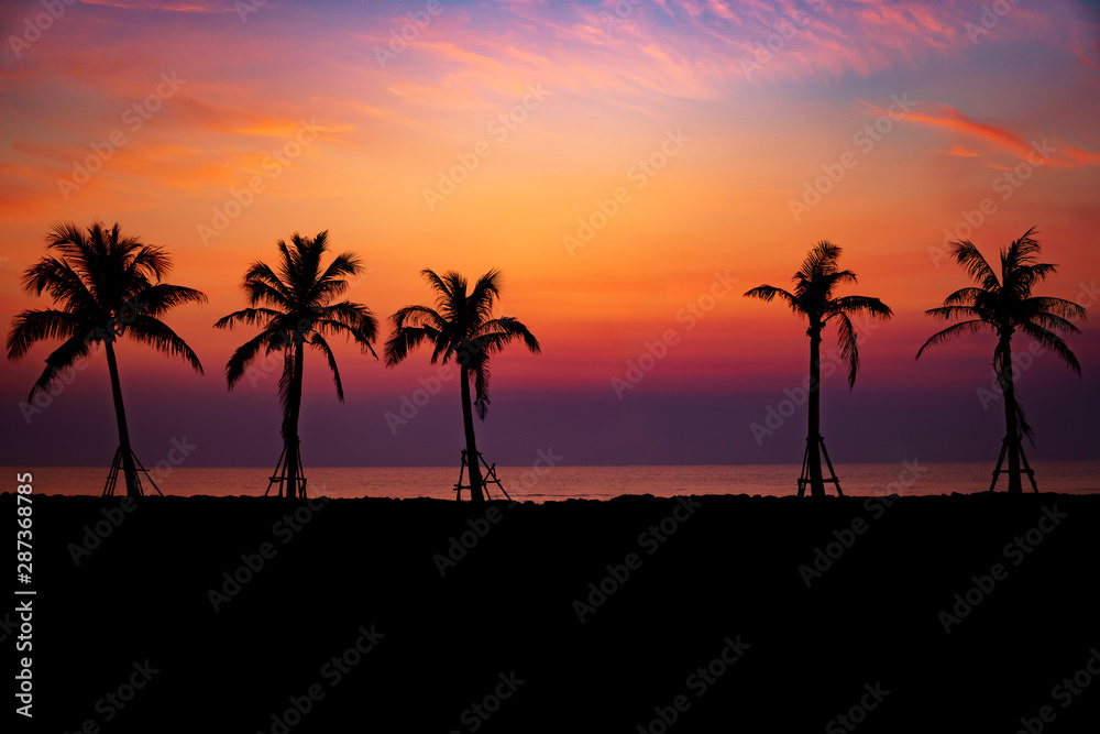 Silhouette coconut palm trees on beach at sunset.sky twilight