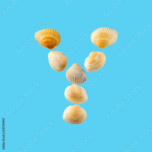 Letter "y" composed from seashells, isolated on gentle blue background