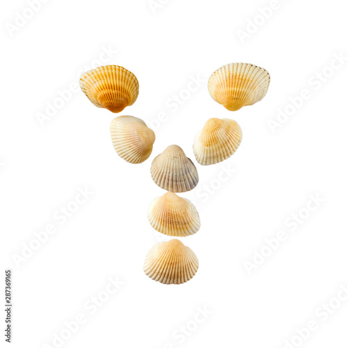 Letter "y" composed from seashells, isolated on white background