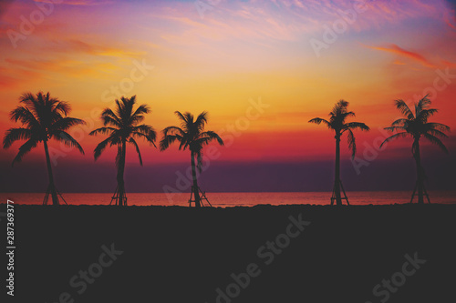 Silhouette coconut palm trees on beach at sunset.sky twilight © BigBlues