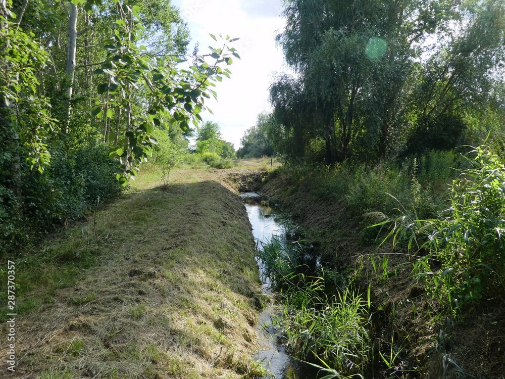 Fototapeta premium Es handelt sich um Fotos die im Sommer in der Natur in Berlin gemacht wurden.