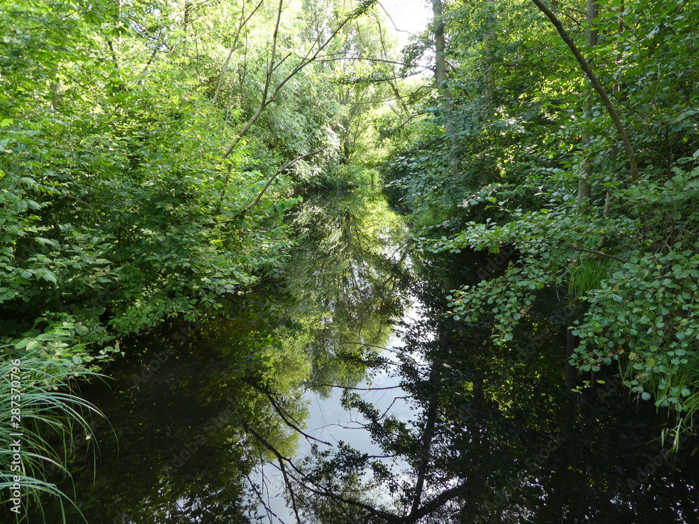 Obraz premium Es handelt sich um Fotos die im Sommer in der Natur in Berlin gemacht wurden.