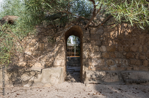 фотографія The ruins of a monastery of Byzantine times in the territory of the catholic Chr