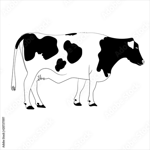 Cow back and white vector illustration
