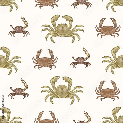 Seamless pattern with various types of crabs on white background. Natural backdrop with aquatic animals. Elegant realistic vector illustration in vintage style for wrapping paper, textile print.