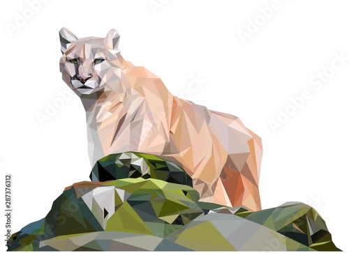 Light brown cougar, low poly illistration photo