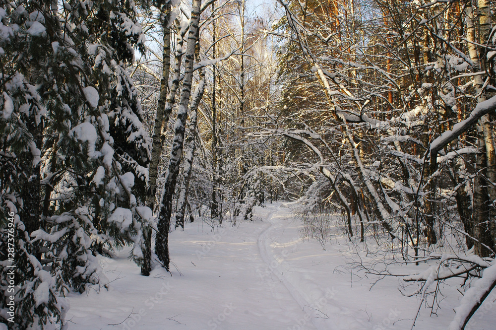 Winter landscape with ski track Winter landscape with ski track