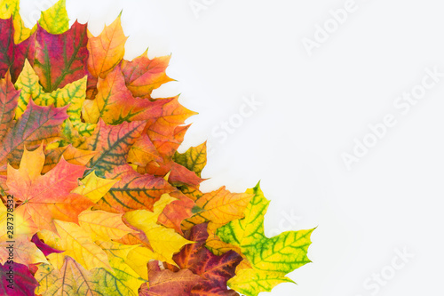Autumn colorful leaves as border with white space for text. Top view. Thanksgiving.