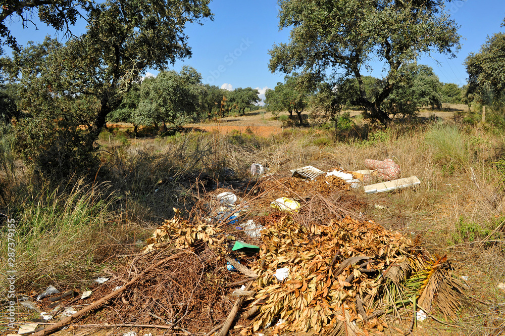Obraz premium Montón de basura abandonada en el bosque. Vertedero ilegal entre árboles cerca de una ruta de senderismo en Andalucía España. Problema ambiental y ecológico.