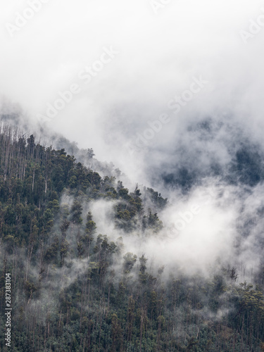 Cloud covered mountains in winter