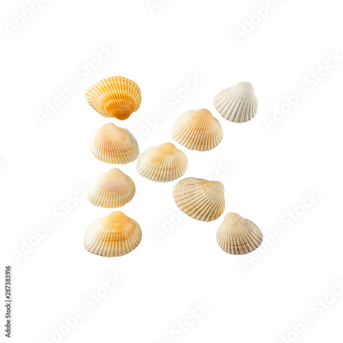 Letter "k" composed from seashells, isolated on white background