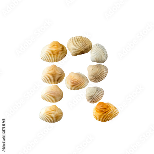 Letter "r" composed from seashells, isolated on white background
