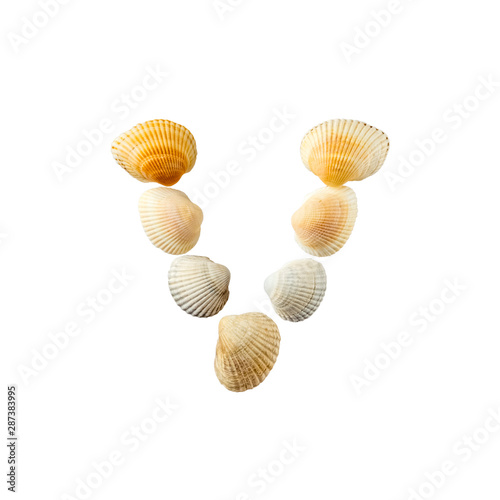 Letter "v" composed from seashells, isolated on white background