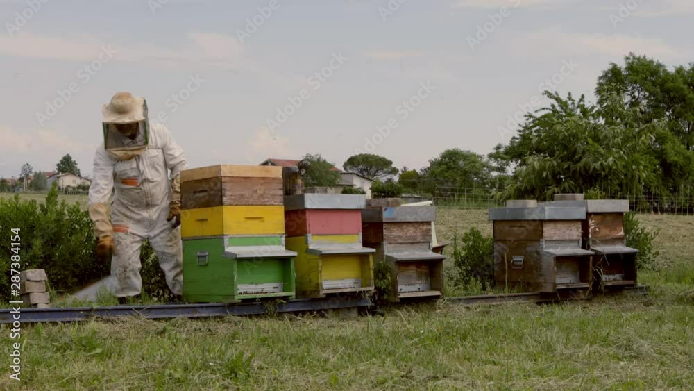 Beekeeper is working with bees and beehives Beekeeper is working with bees and beehives