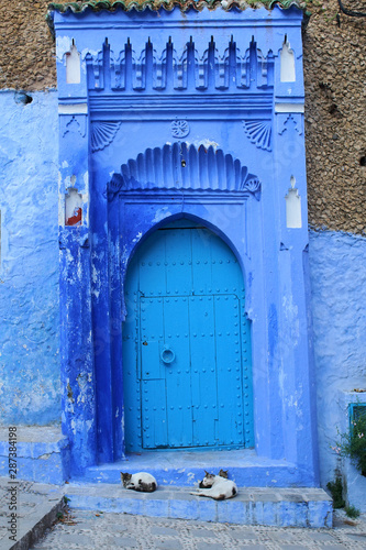 Moroccan Cats © ivanfei77