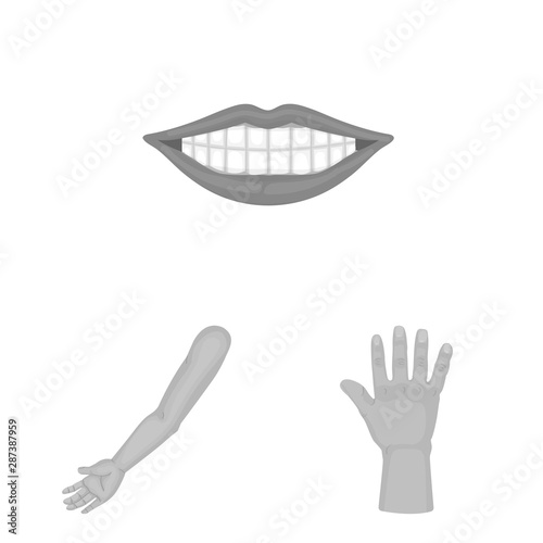 Vector illustration of body and part logo. Set of body and anatomy stock vector illustration.