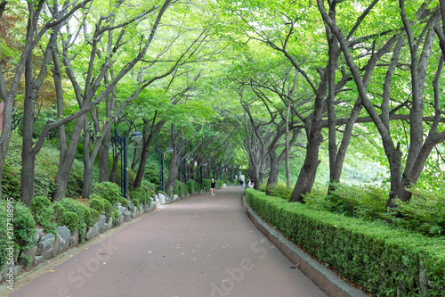 서울 잠실 석촌호수공원