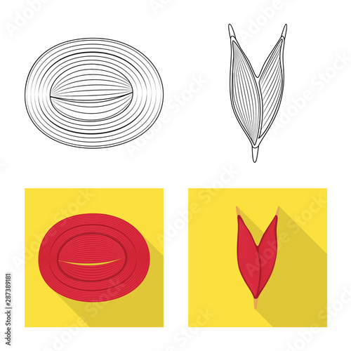 Vector design of fiber and muscular logo. Set of fiber and body stock vector illustration.