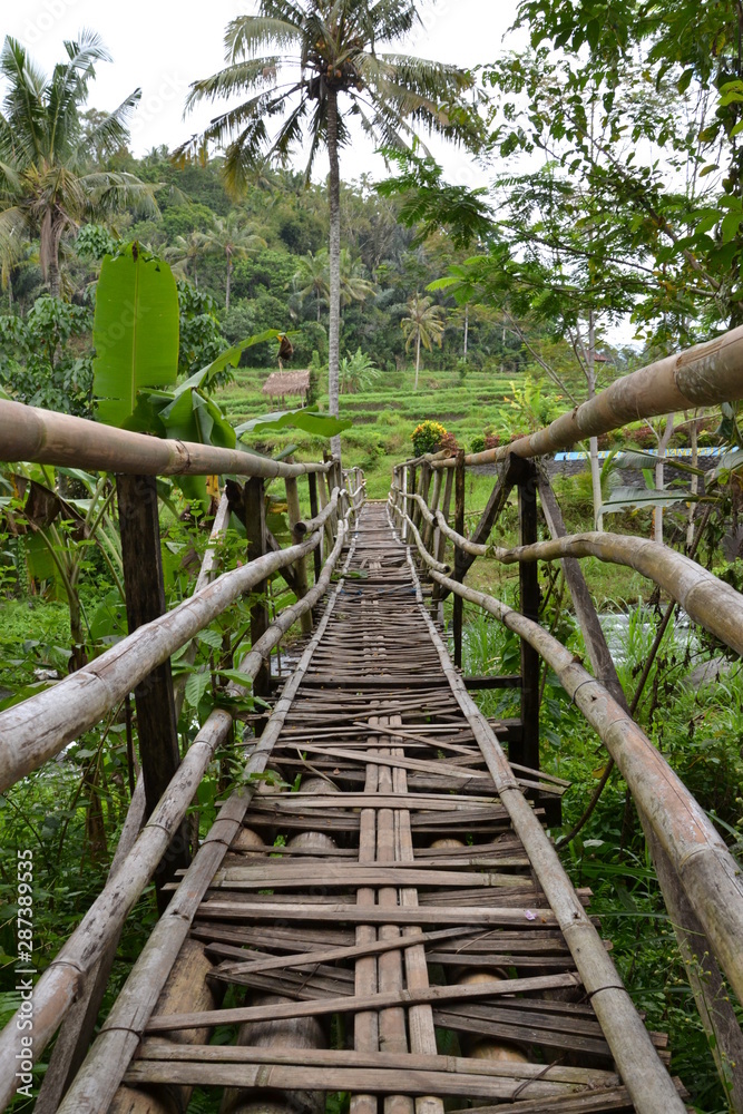 Pont à Bali Pont à Bali