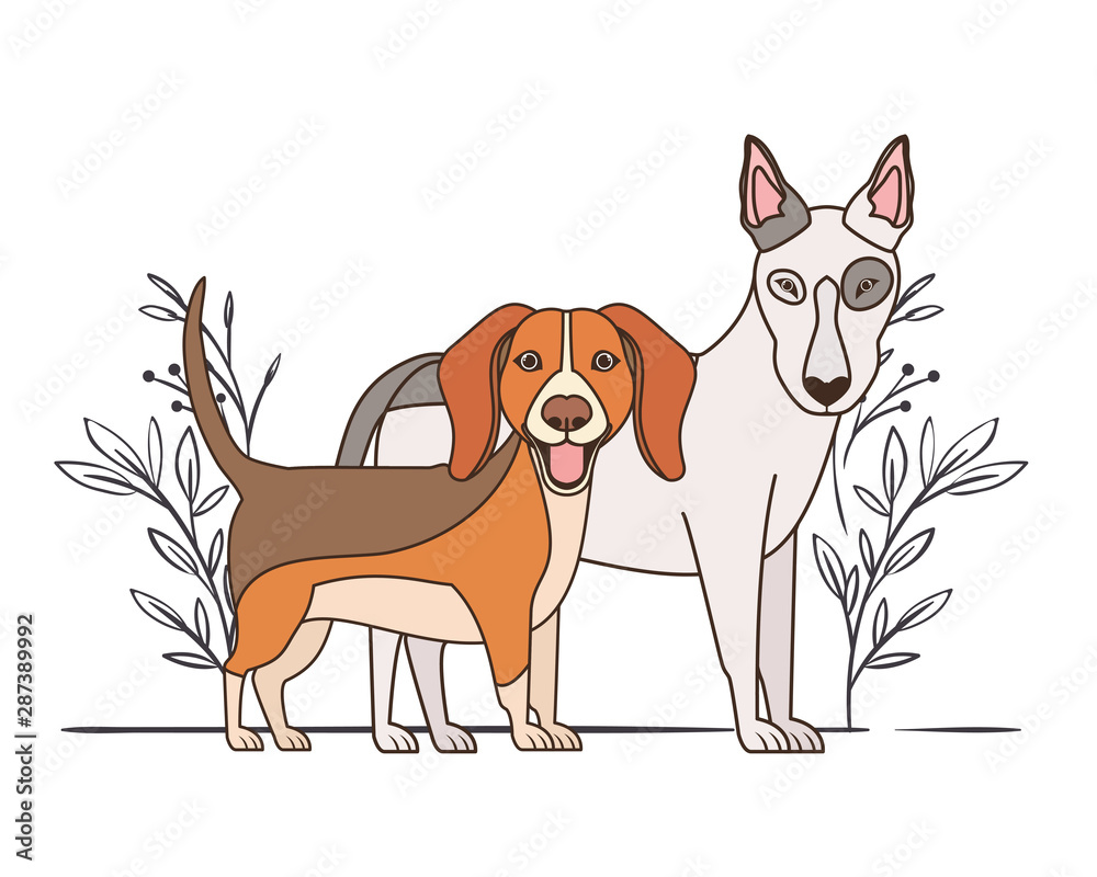 cute and adorable dogs on white background cute and adorable dogs on white background