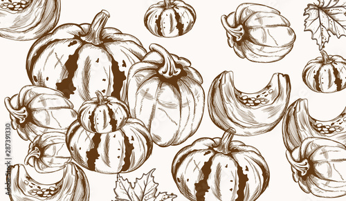 Pumpkin pattern line art Vector. Autumn fall harvest decors