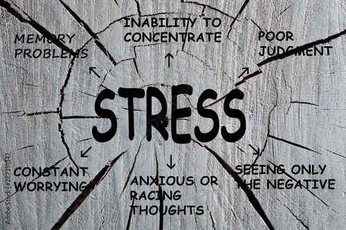 Stress Cognitive Symptoms