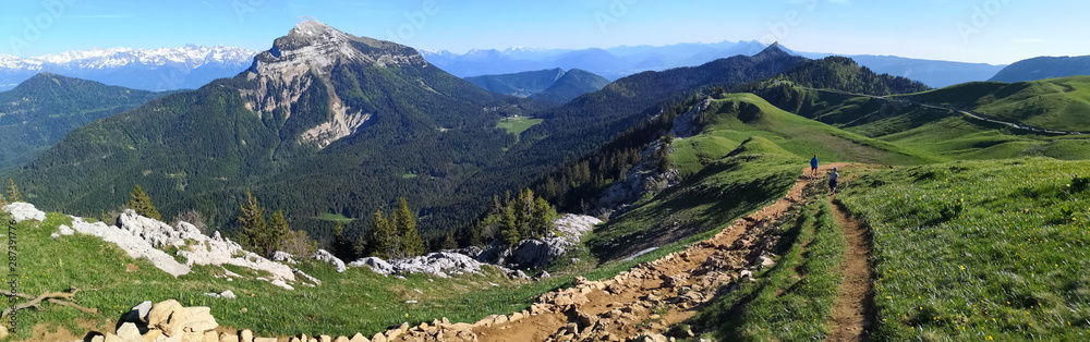 sentier de randonnée en montagne - alpage du charmant som en chartreuse