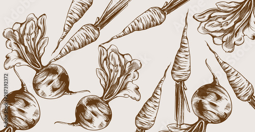 Beet and carrots Vector line art. Veggies pattern fresh harvests