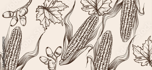 Happy Thanksgiving card line art Vector. Corn autumn harvest illustrations