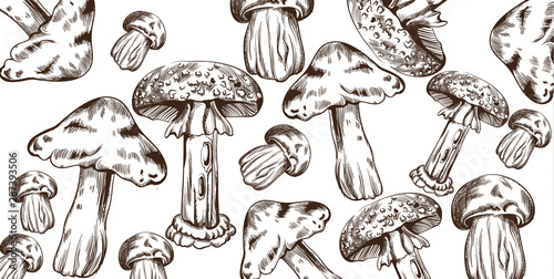 Mushrooms vector line art pattern. Autumn fall veggies backgrounds