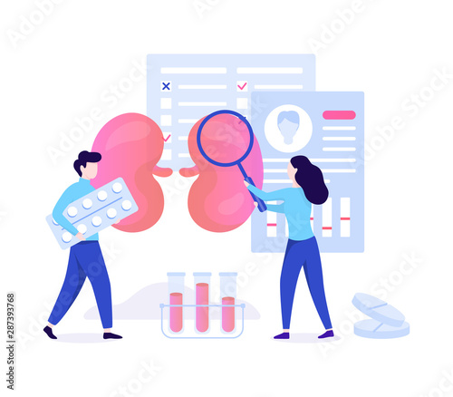 Urology concept. Idea of kidney and bladder treatment