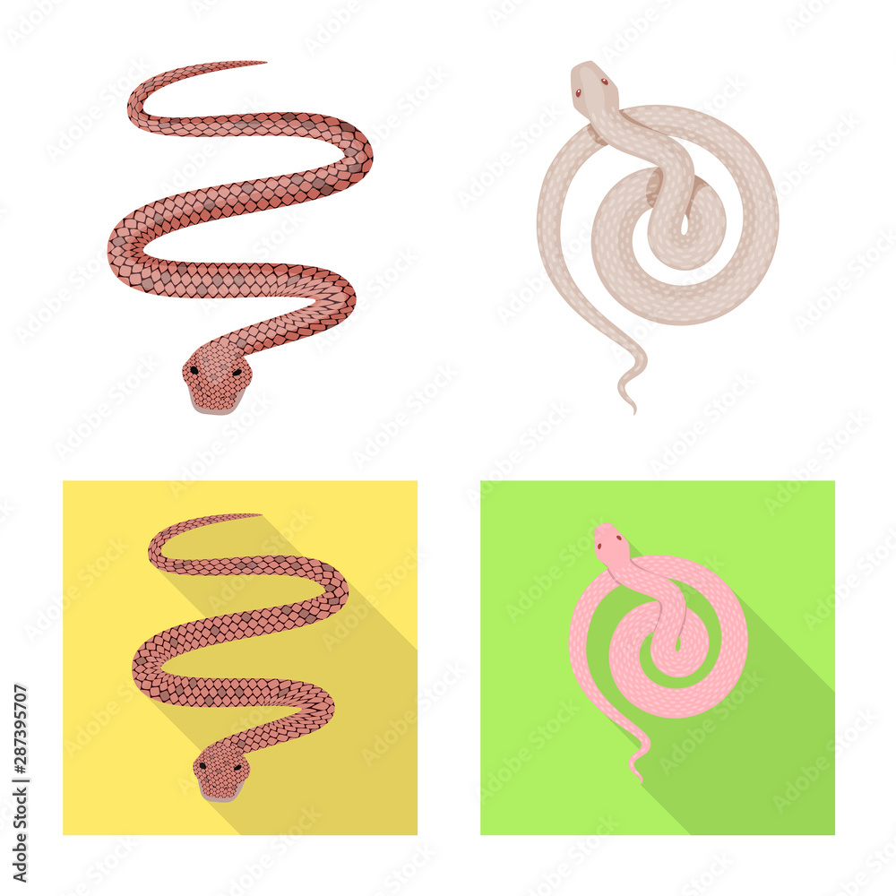 Vector illustration of mammal and danger symbol. Collection of mammal and medicine stock symbol for web. Vector illustration of mammal and danger symbol. Collection of mammal and medicine stock symbol for web.