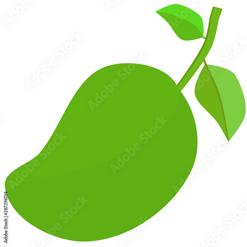 green mango cartoon illustration of the fruit in 2d design style