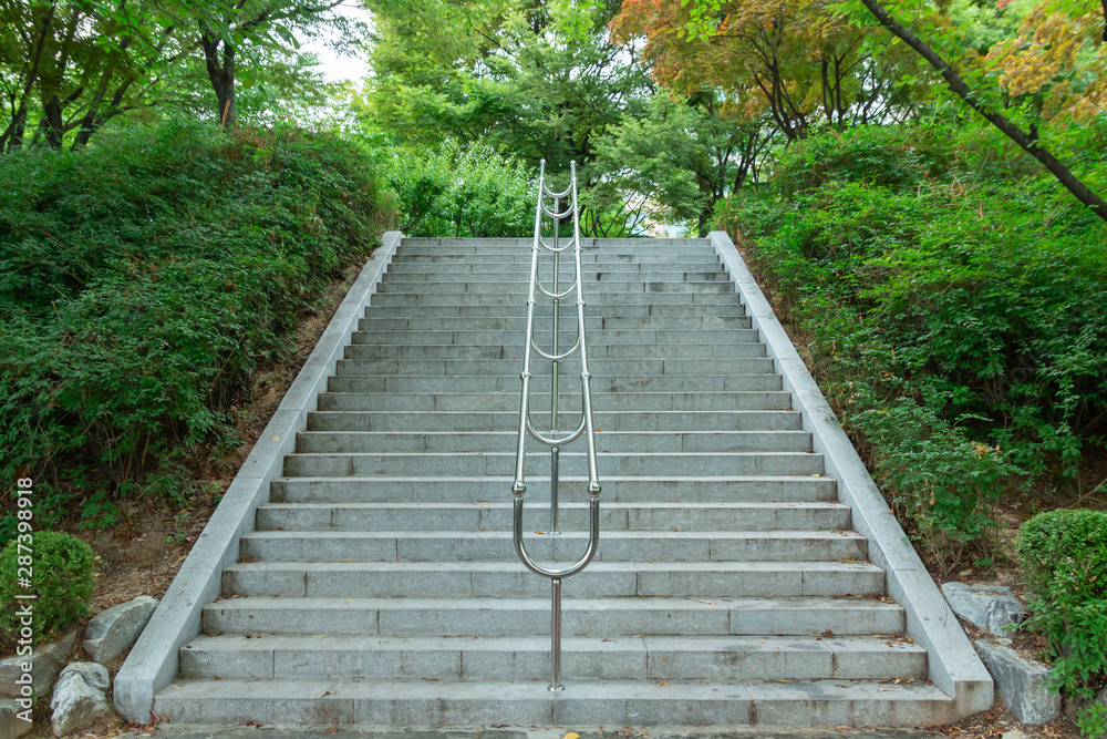 Obraz premium 숲 속의 계단 (석촌호수공원)
