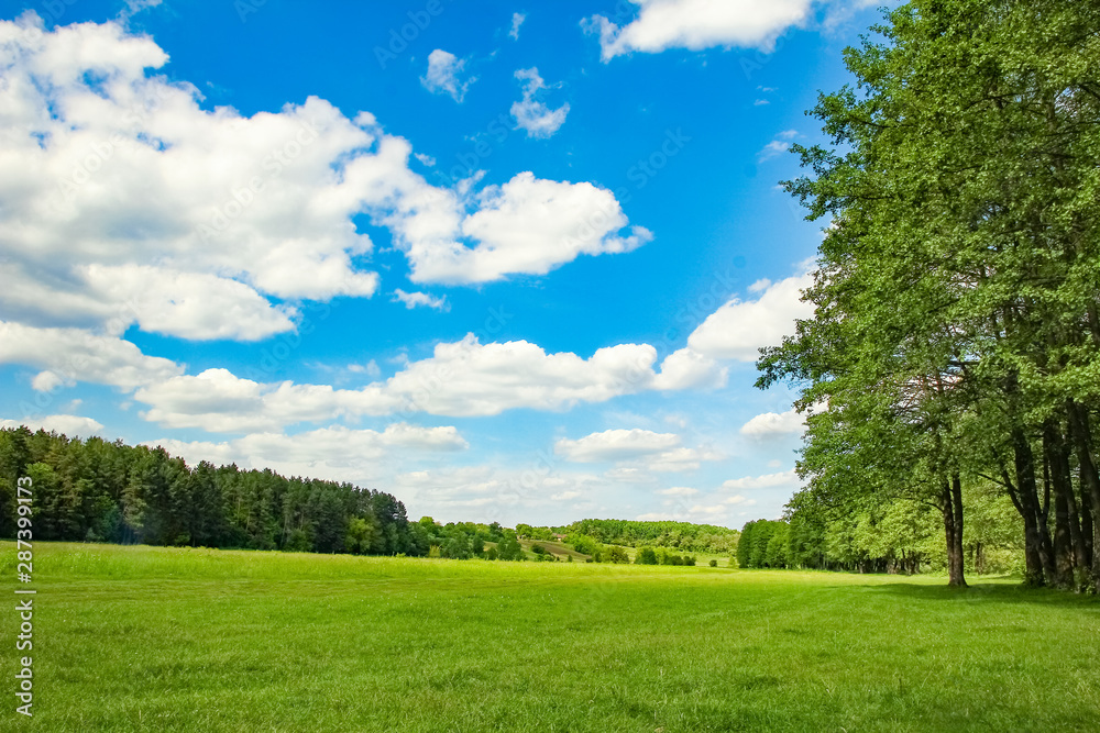 Obraz premium beautiful nature in the park on nature background