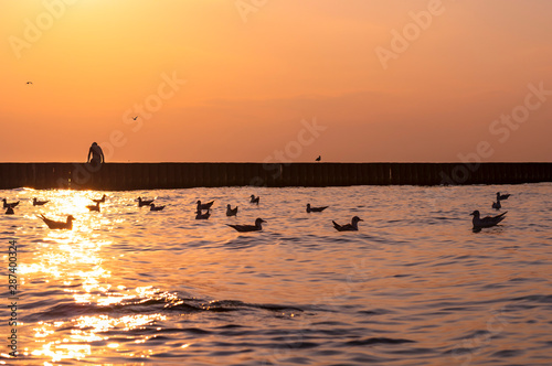The figure of a boy who sits on a breakwater against a sunset