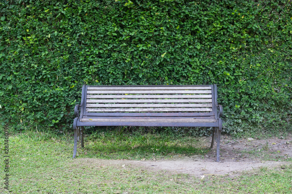 Wooden bench with green leaves wall,park outdoor.
