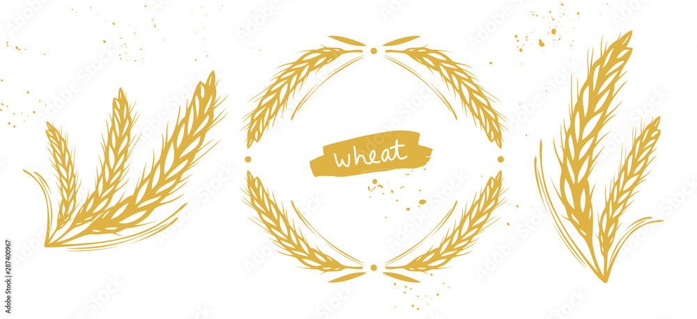 Wheat, barley, rye ears set - obrazy, fototapety, plakaty 