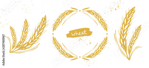 Fotografia Wheat, barley, rye ears set