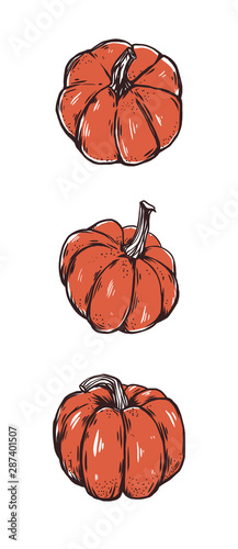 The three Red Pumpkin. Autumn Halloween style Illustration. Harvesting. Isolated images.