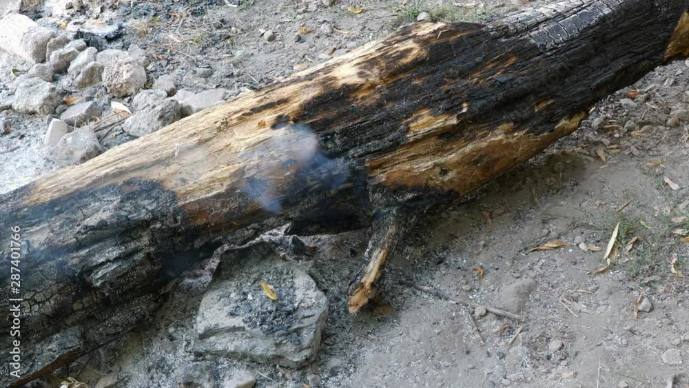 Burned tree log still hot and smoking, charred wood emanating heat