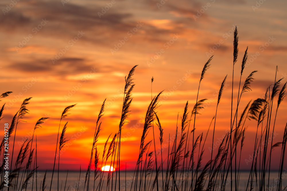 beautiful chesapeake bay colorful sunrise landscape in southern maryland calvert county usa beautiful chesapeake bay colorful sunrise landscape in southern maryland calvert county usa