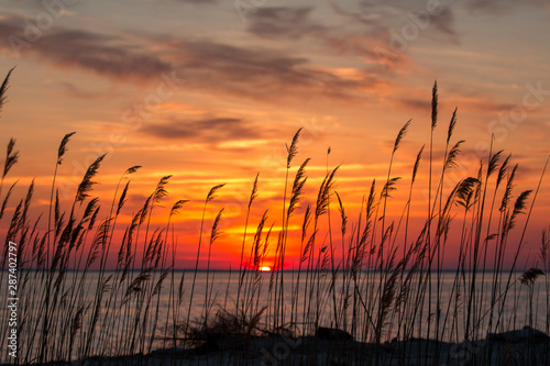 beautiful chesapeake bay colorful sunrise landscape in southern maryland calvert county usa photo