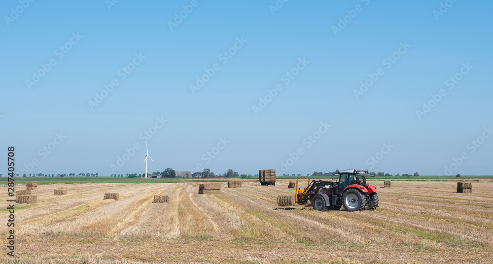 Obraz premium farmer with tractor collects straw bales on sunny summer day in groningen