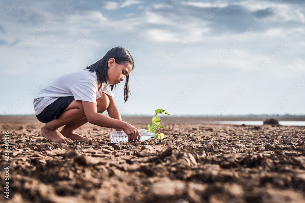 Asian girl watering green plant in dry land,Crack dried soil in drought and ,Climate change from global warming. - obrazy, fototapety, plakaty 
