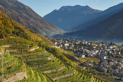 Winery and vineyards, mountain valley. Valtellina. Italian Alps photo