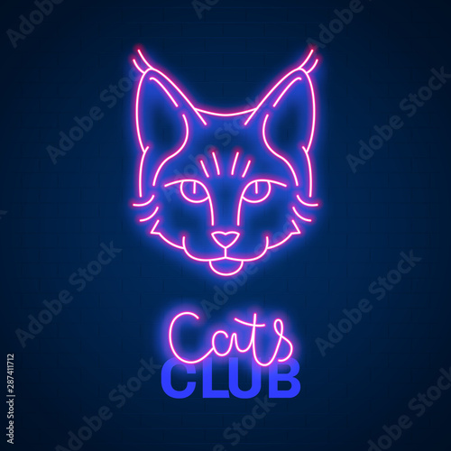 Glowing neon effect Cats club Maine coon sign