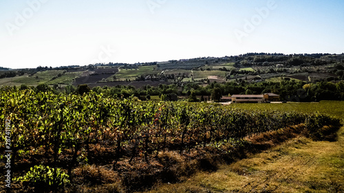 Landscape of the Tuscan vineyards, Chianti region, Italy